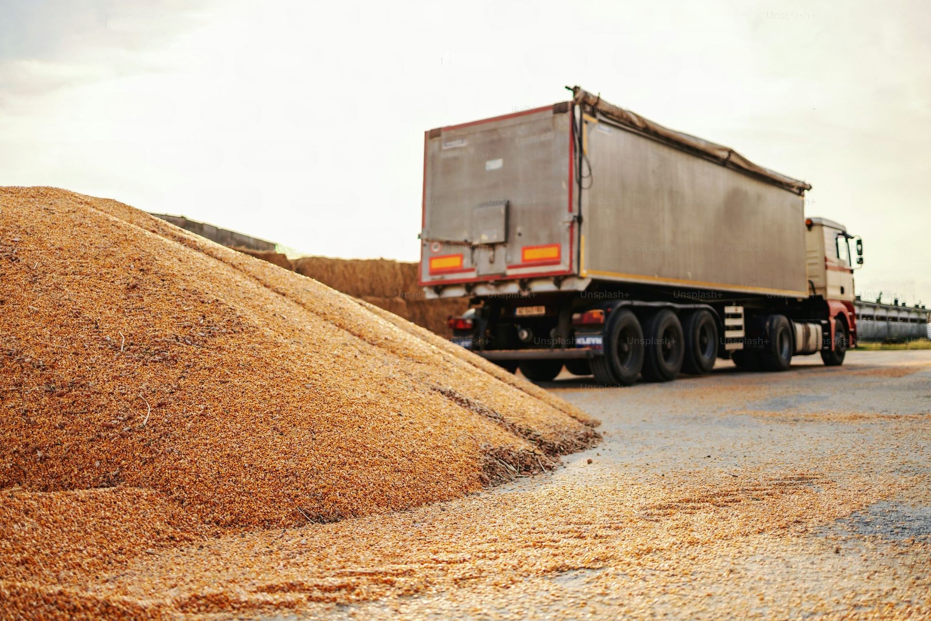 Bulk Commodities